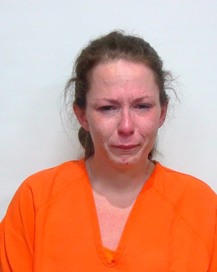 Suwannee County New Year’s Arrests: Domestic Assault, Petit Theft, and ...