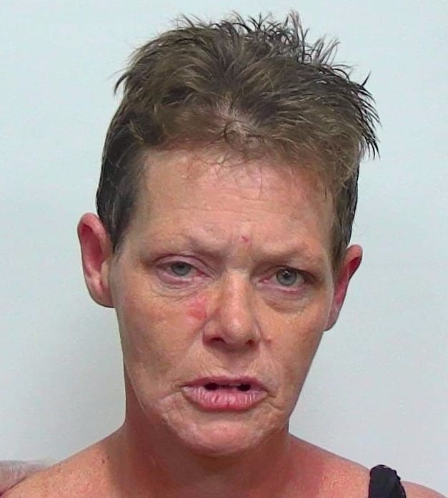 Live Oak Woman Charged with Aggravated Battery and Resisting Officers; Three Booked in Suwannee County Monday