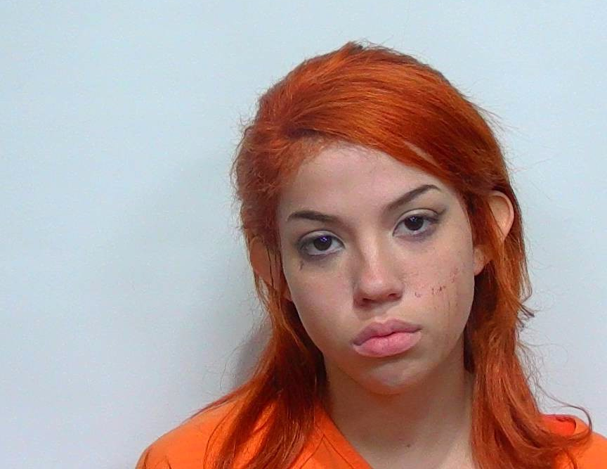 Five Arrests in Suwannee County- Domestic Violence, Resisting Officers, Simple Assault 11-11-25